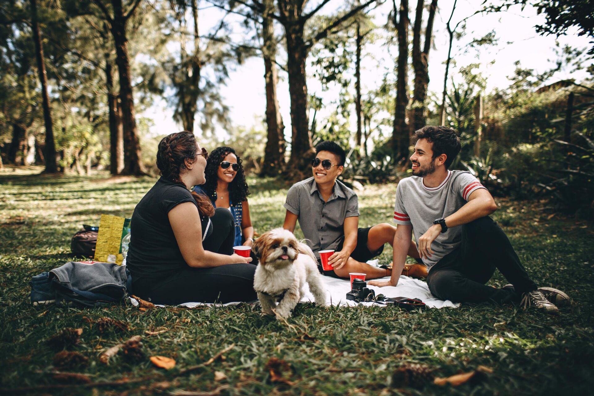 Post Lockdown Social Burnout